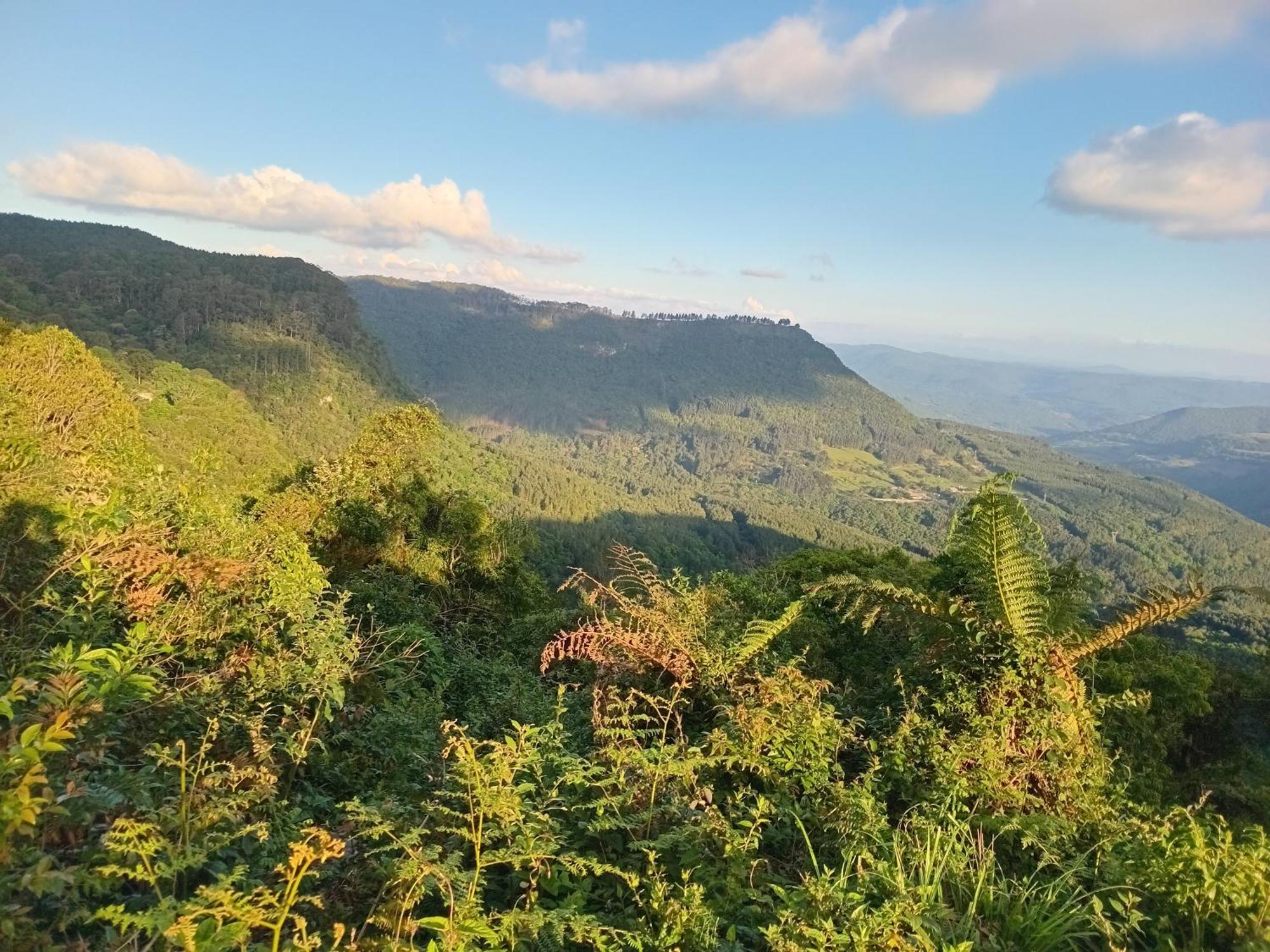 Alpes Dos Anjos Casa Mobiliada Perto Do Centro Canela Rs Dış mekan fotoğraf